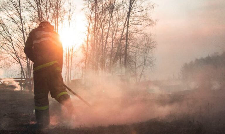 Großbrand erzeugt Feuerwolke – Feuergewitter blieb aus