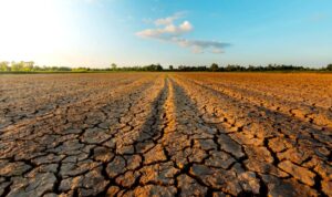 Kein Tropfen in Sicht – erste Gemeinde dreht Wasser ab