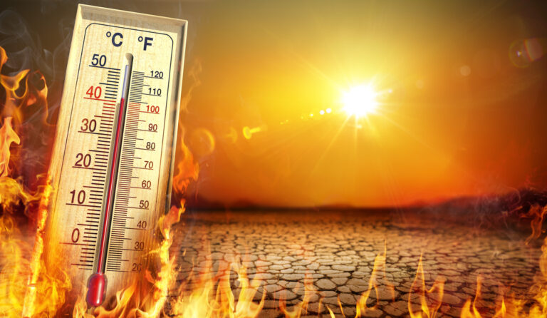 Bis zu 40 Grad: Abkühlung erst Ende der Woche