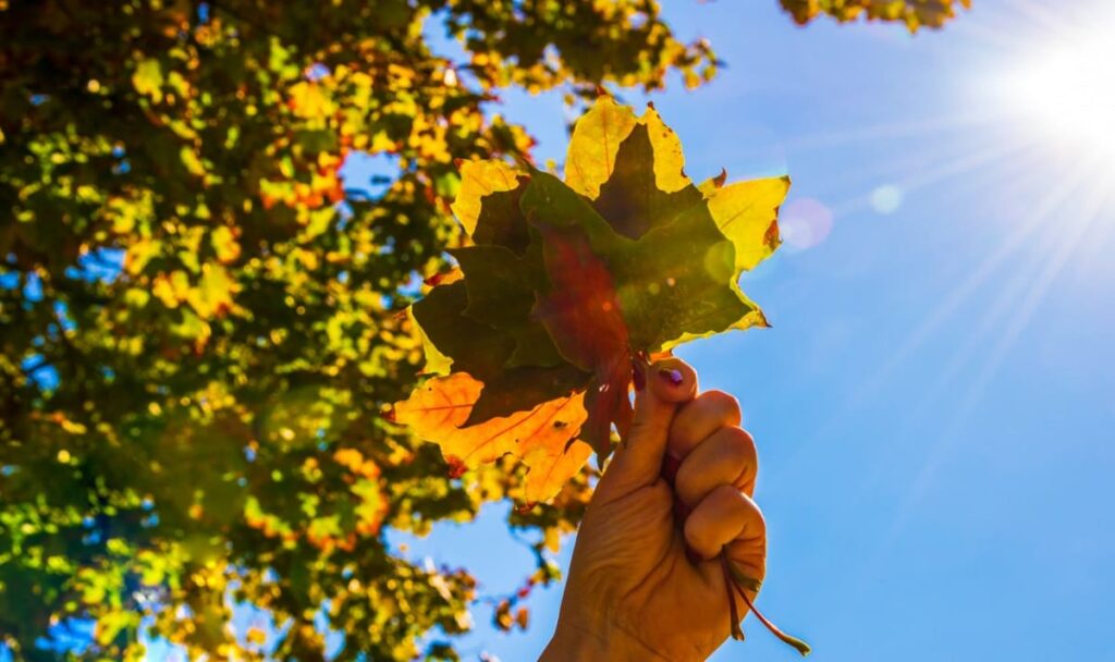 28 Grad im Herbst: Österreich erlebt unglaubliches Sommer-Comeback