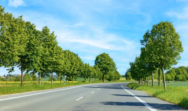 Geständnis nach Fahrerflucht: Mann überrollte 20-Jährigen mit Feuerwehrauto