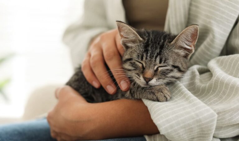 Schreie aus Müllcontainer: Bewohner entdecken zwei Katzenbabys