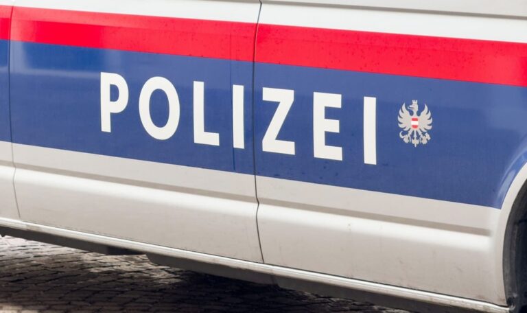 Sekunden vor dem Stich: Teppich rettet Österreicher das Leben