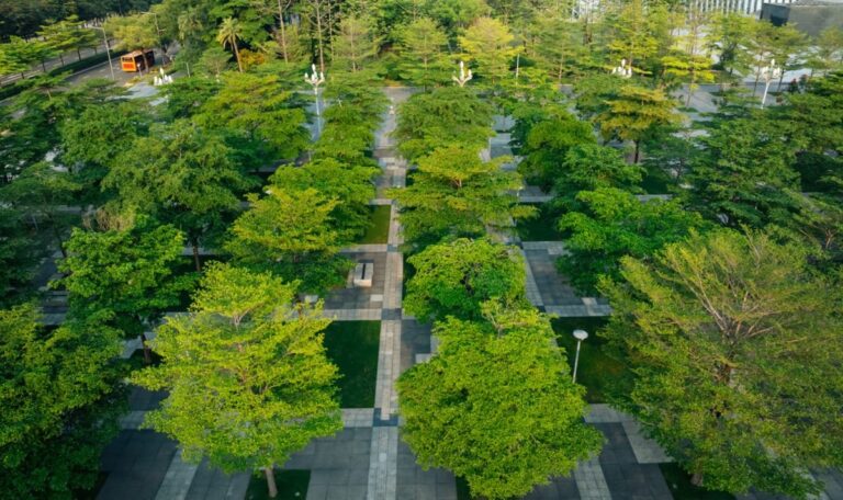 300-Millionen-Traum: Sarajevo baut seinen Campus der Zukunft