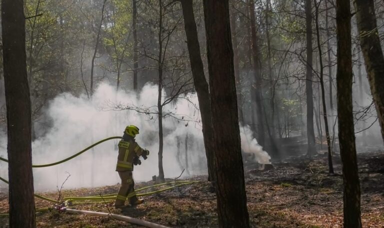 Waldbrand bei Wien: Anrainer sollen Koffer packen