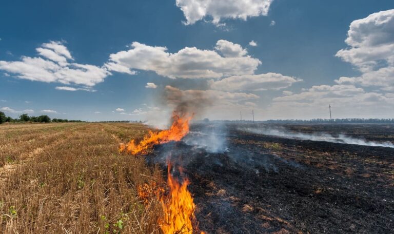 Feuerwehrmann legt selbst Brände – und rückt danach zum Löschen aus