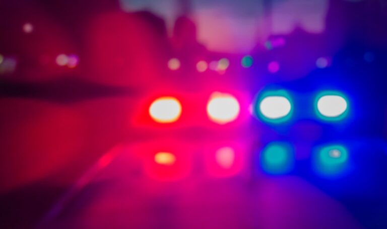 79-Jähriger und sein Hund sterben bei Zugunglück