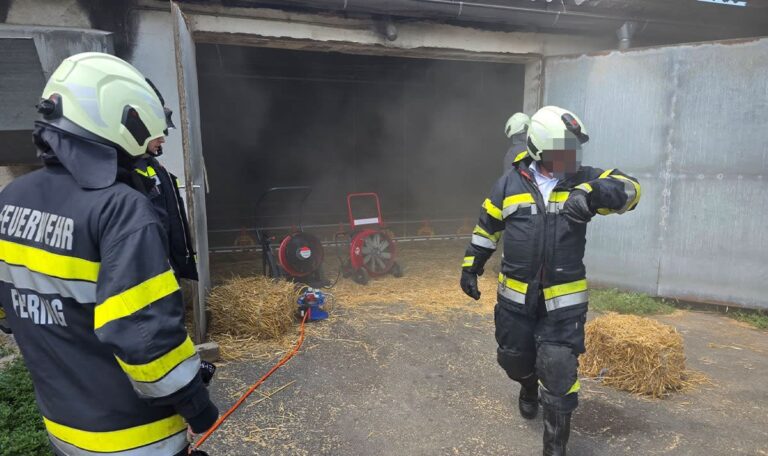91 Feuerwehrleute retten tausende Küken vor dem Flammentod