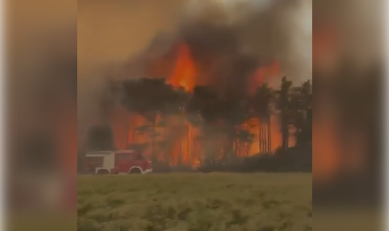 Brand vernichtet 100 Hektar Wald – Sechs Feuerwehrleute verletzt (VIDEO)