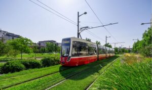 Rasen statt Asphalt: Wiener Bim-Strecken bekommen grünes Upgrade