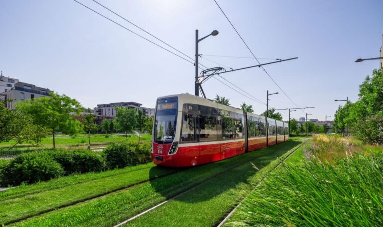 Rasen statt Asphalt: Wiener Bim-Strecken bekommen grünes Upgrade