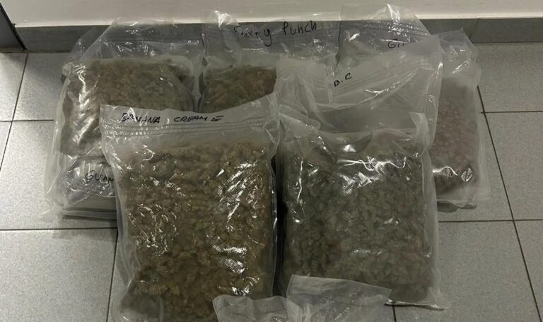 Polizei stoppt Schmuggler aus Slowenien mit fünf Kilo Cannabis