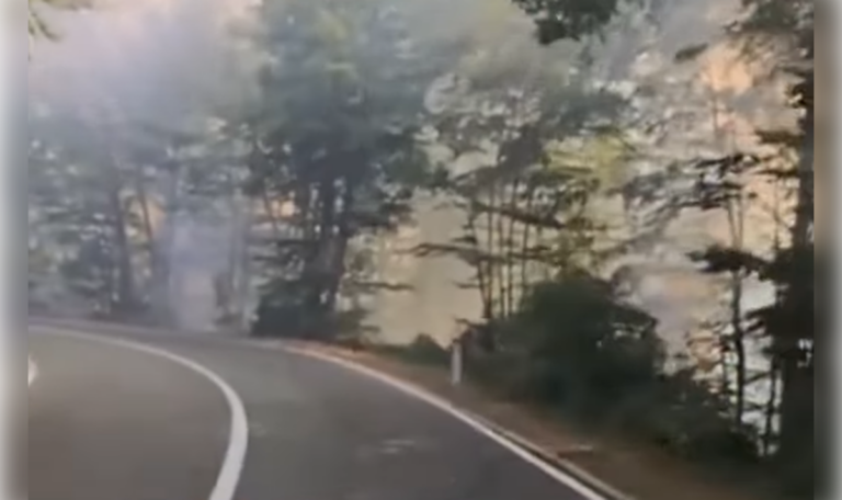 Flammen und dichter Rauch: Dramatische Aufnahmen aus Montenegro (VIDEO)