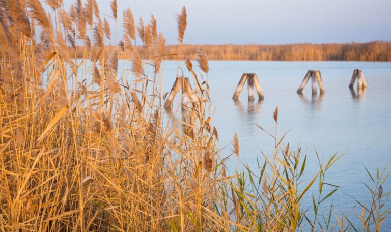 Vierter Todesfall: Neufelder See wird zum Schicksalsgewässer