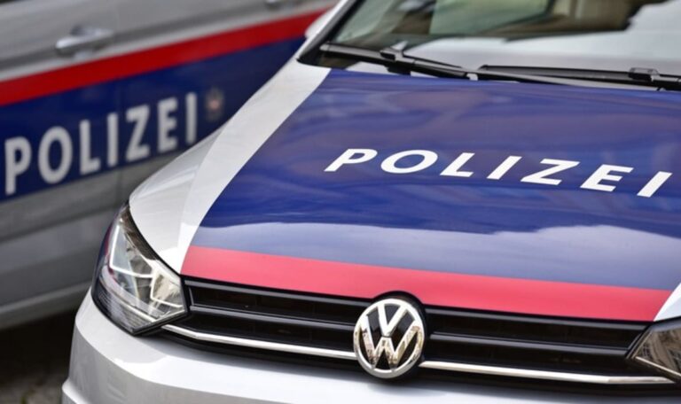 Flucht vor Polizei endet in Baggerschaufel: Vier Personen im Spital