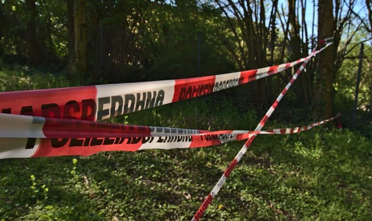 Spaziergänger findet AK-47 und tausende Schuss Munition im Wald