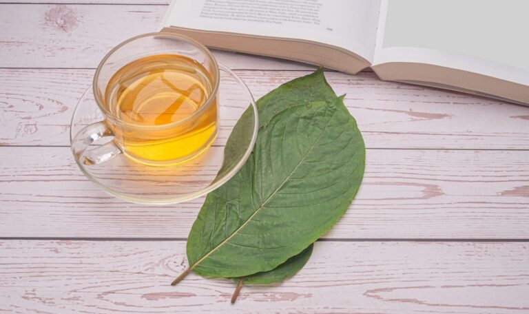 Nach Kratom-Tee: 22-Jähriger erleidet Herzstillstand
