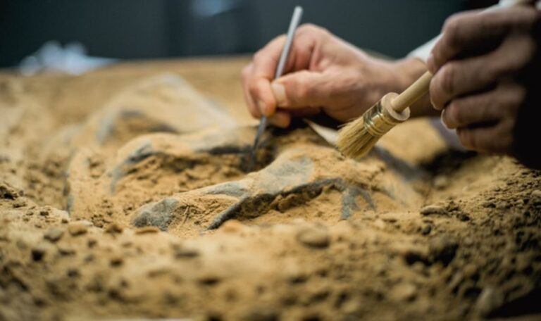 Jahrmillionen verborgen: Neuer Dino-Riese verblüfft Forscher