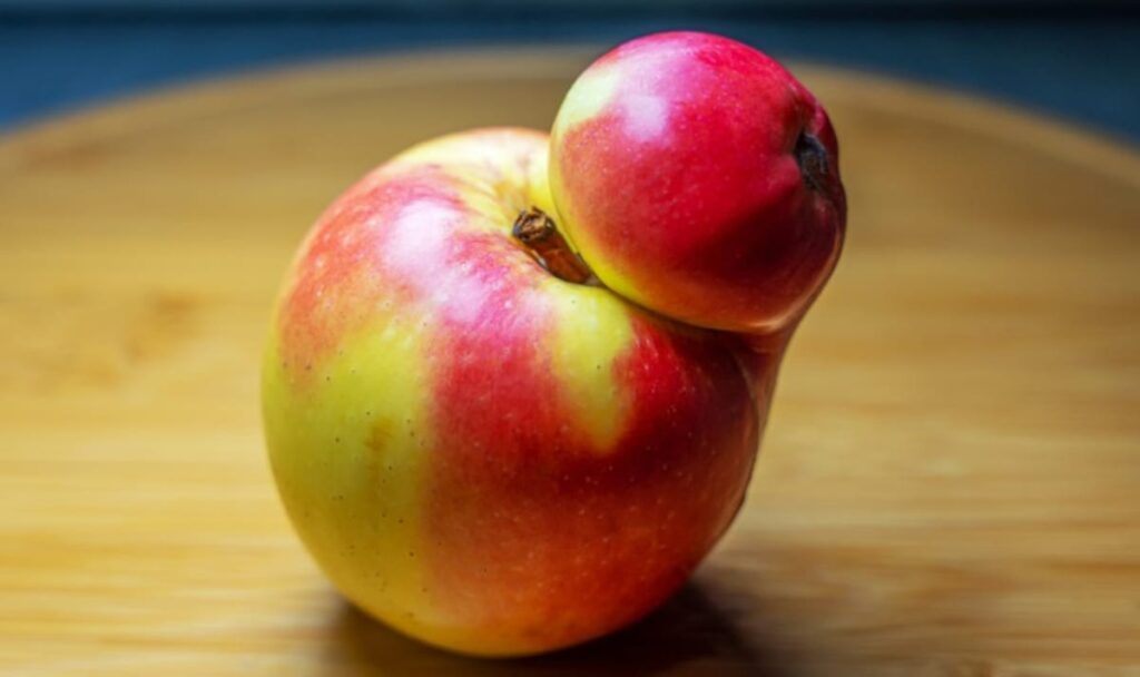 Heimische Äpfel mit Schönheitsfehlern: Würdest du ihnen eine Chance geben?