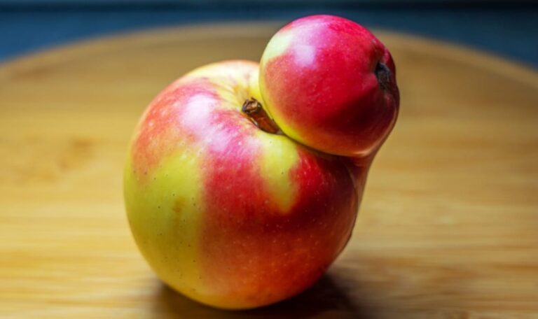 Heimische Äpfel mit Schönheitsfehlern: Würdest du ihnen eine Chance geben?