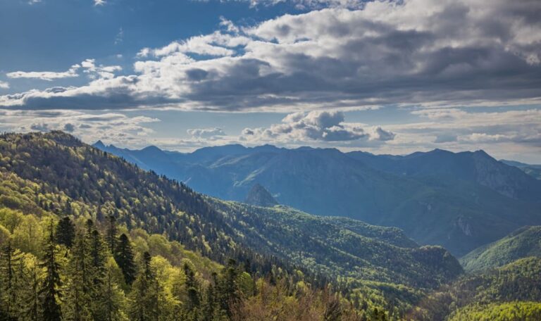 Adler, Bären, Wölfe: Europas geheimnisvollster Wald liegt in Bosnien