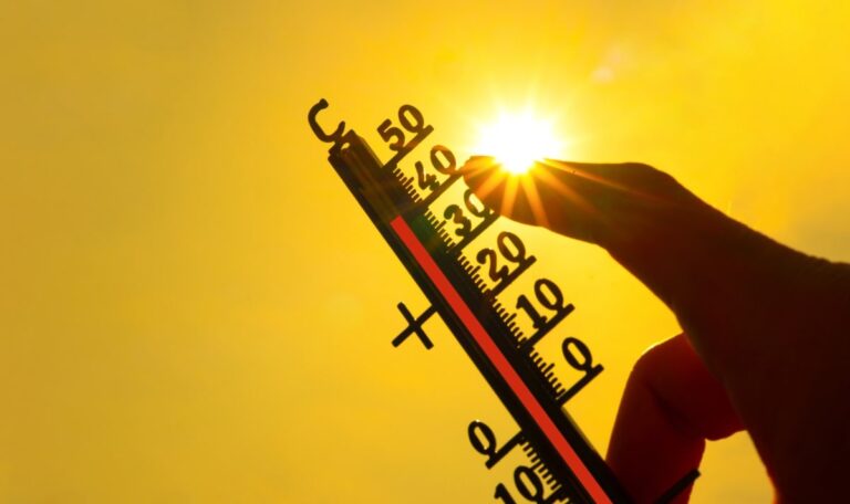 1,65 Grad wärmer: Copernicus schlägt Alarm nach Rekord-August