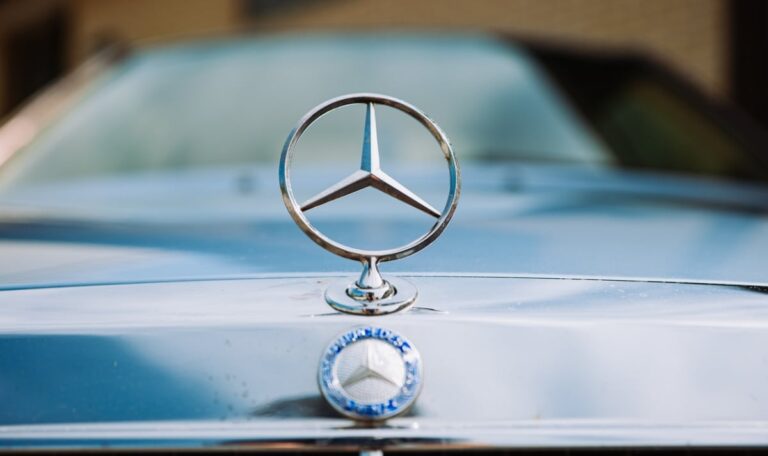 Gefälschte Papiere: Polizei schnappt Mercedes-Dieb