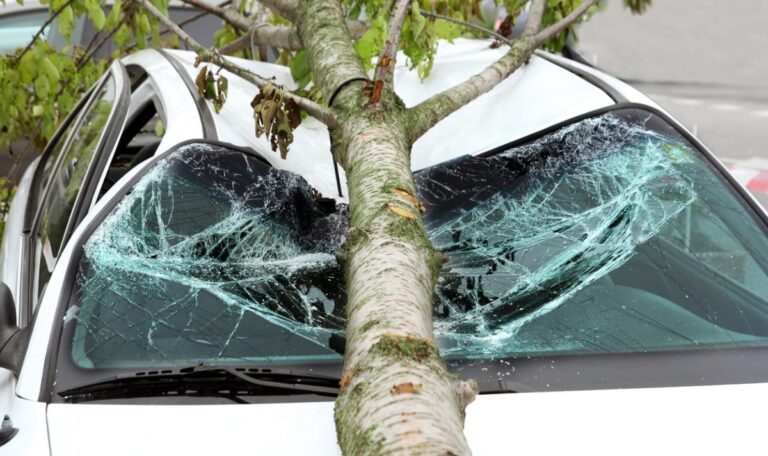 Baum kracht auf Auto – niemand will den Schaden zahlen