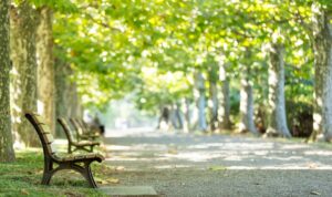 Spätsommer dreht noch einmal auf: Bis zu 25 Grad in Österreich