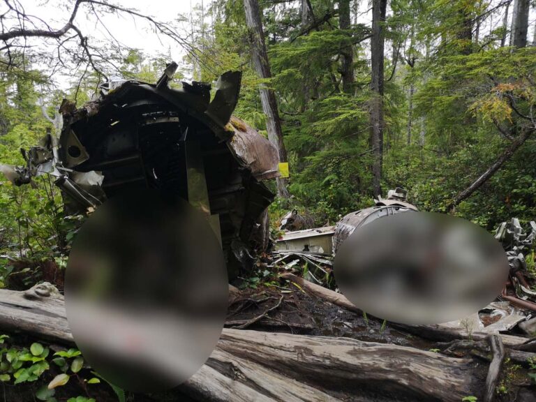 Helikopter stürzt ab: Fünf Menschen tot – medizinische Hilfe gefährdet