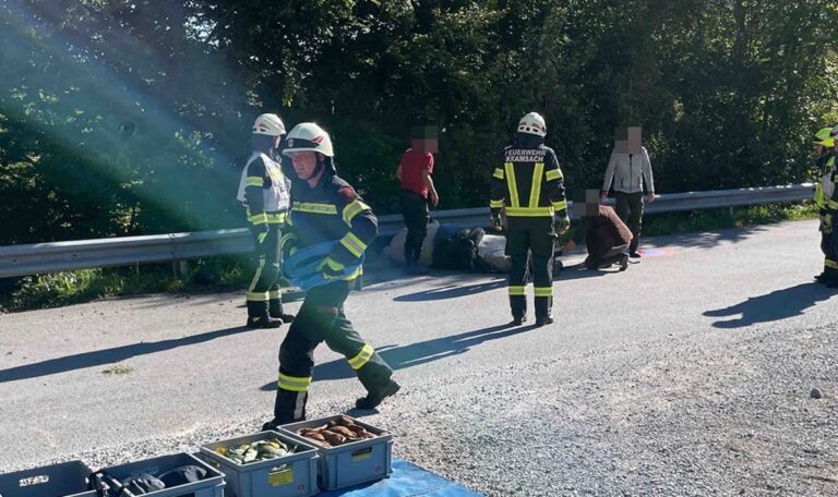 Durch Kuhherde aufschreckt – Pferd gerät unter Leitplanke