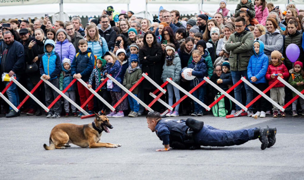 Sicherheitsfest am Rathausplatz mit Mitmachprogramm und Vorführungen