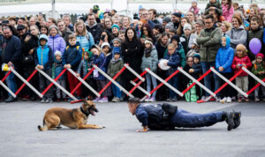 Sicherheitsfest am Rathausplatz mit Mitmachprogramm und Vorführungen