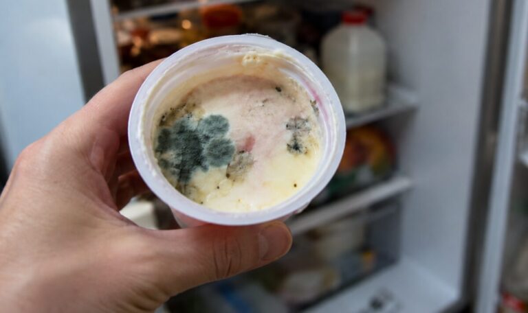 Schimmel im Kühlschrank: Wann er zur Gesundheitsgefahr wird