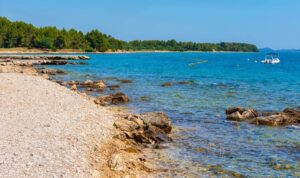 Einzigartiger Fund in Kroatien: Dinosaurierknochen unter Wasser entdeckt