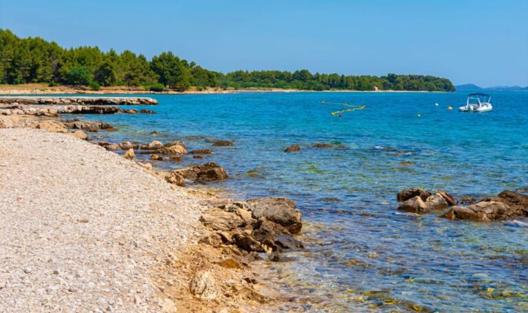 Einzigartiger Fund in Kroatien: Dinosaurierknochen unter Wasser entdeckt