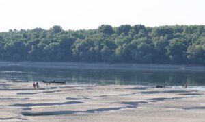 Vermisstensuche endet tragisch: Frauenleiche in Donau entdeckt