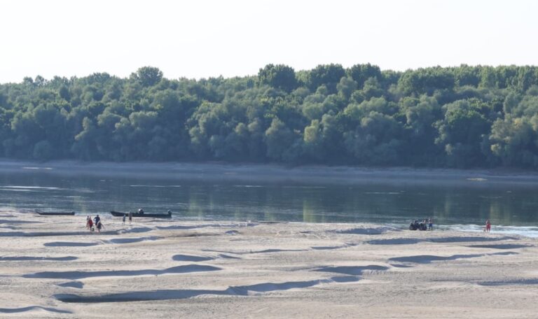 Vermisstensuche endet tragisch: Frauenleiche in Donau entdeckt