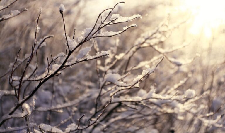 Wettersturz in Österreich: Hier kommen die ersten Schneeflocken