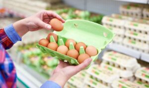 Bis zu 20 Cent mehr pro Packung: Preiserhöhung bei Eiern angekündigt