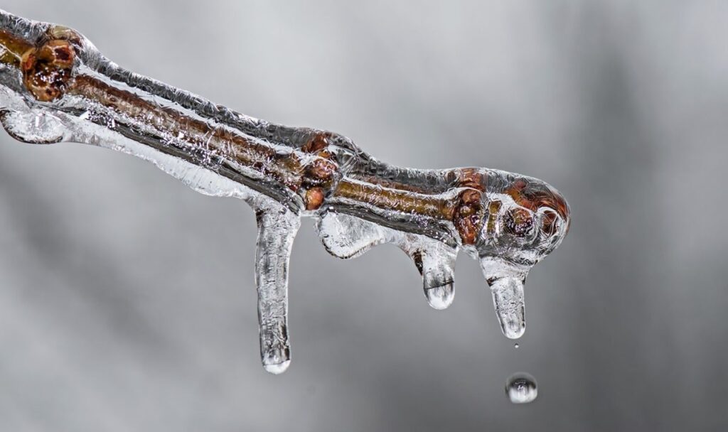 Frost und Schnee im Oktober? Was die alten Regeln wirklich bedeuten