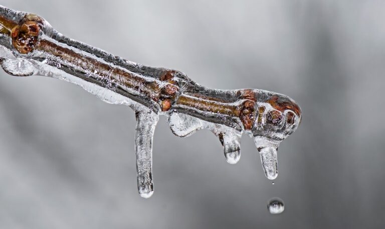 Frost und Schnee im Oktober? Was die alten Regeln wirklich bedeuten